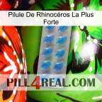 Pilule De Rhinocéros La Plus Forte 22